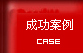 成功案例